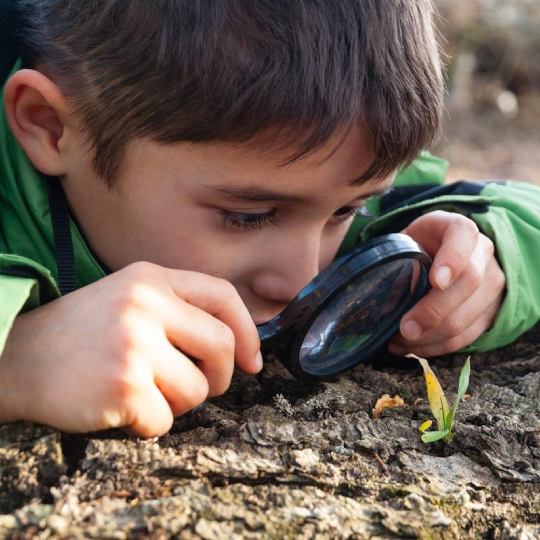 796_9282_22Jul2023131521_540Boy-looking-at-nature-with-magnifier.png