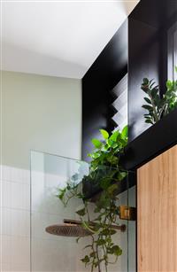 Bathroom interior close up of wall joinery between green wall and black framed glass venetian blind window panel with plant trailing down to brass shower head