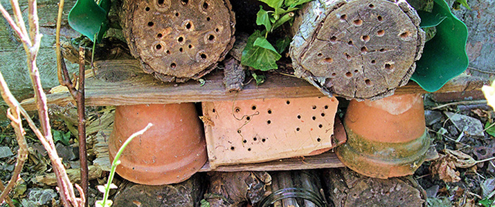 Insect hotel home made