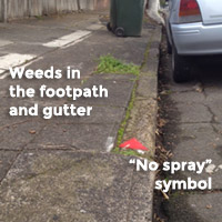 no-spray
