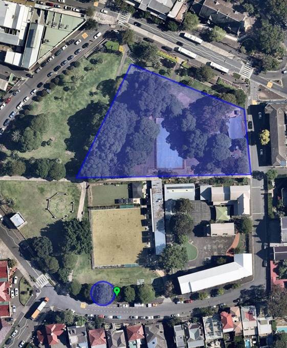 gladstone park tree pruning