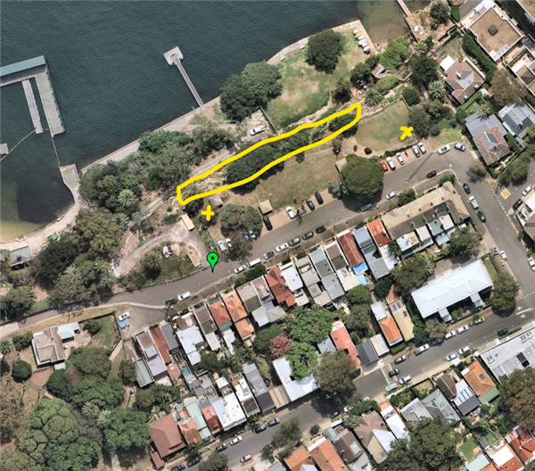 Tree removal notice for fitzroy park