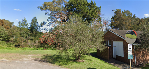 glover street tree removals