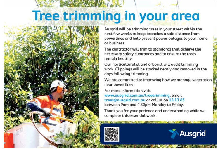 Ausgrid information