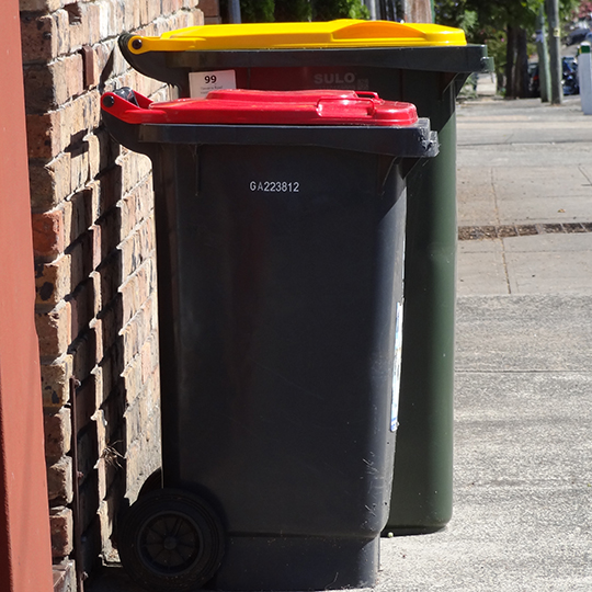  2 bins on the footpath