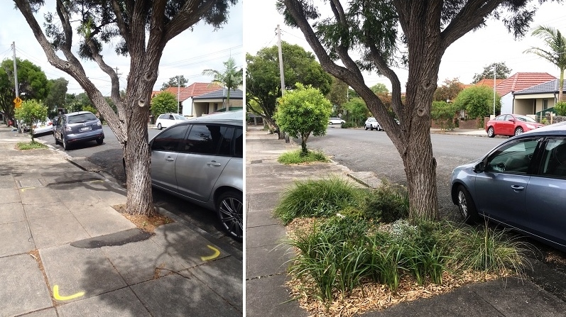 Neville St Marrickville verge before garden