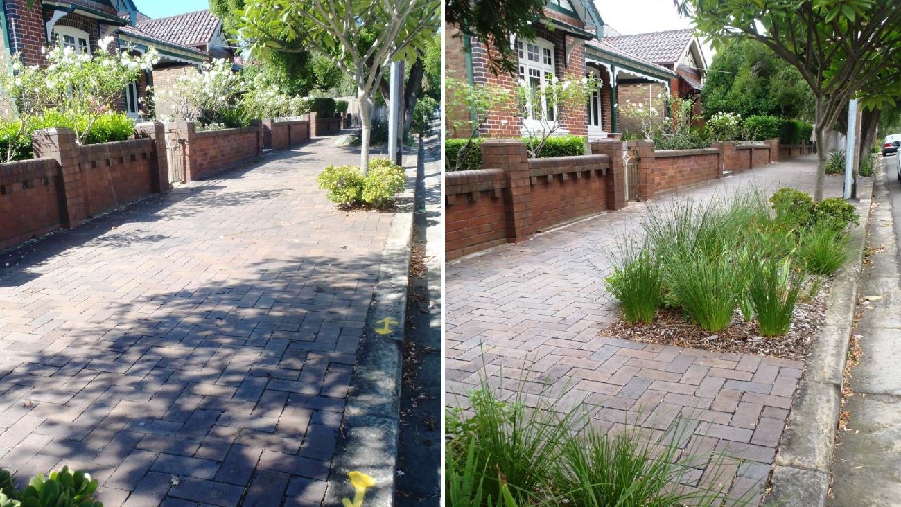 Tamar Marrickville before verge garden