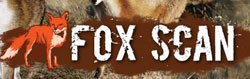 fox scan logo