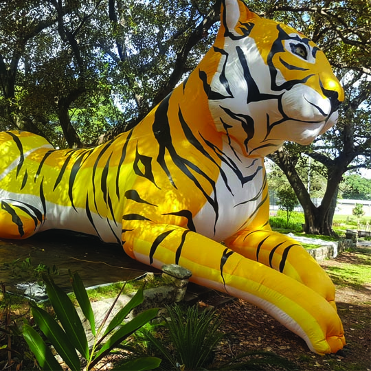 Tiger Art Camp