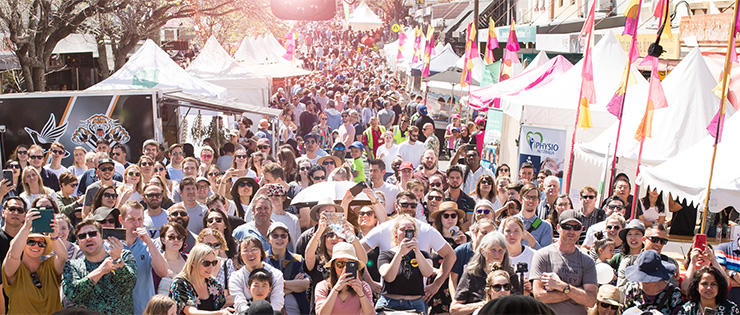 A crowd of people at a street festival
