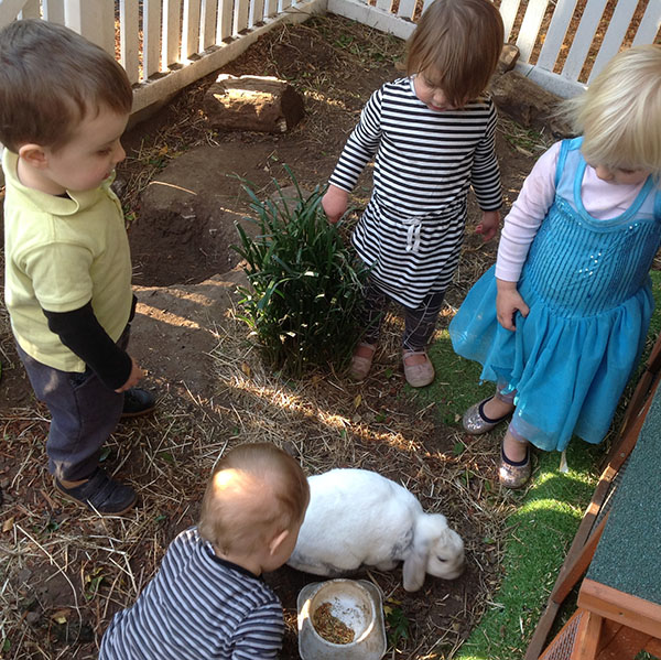 Addison road rabbit with children