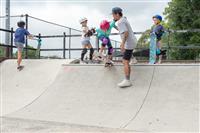 Totem skate workshop Summer Hill 19 January 2019