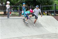 Totem skate workshop Summer Hill 19 January 2019