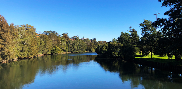 Cooks River History Week 2022
