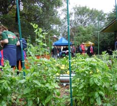 Ashfield-Park-Community-Garde -map