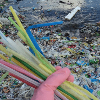 Plastic Straws collected from a waterway