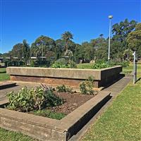 Ashfield Park Community Garden