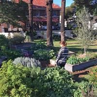 Punch Park Community Garden