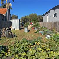 Denison Road Community Garden