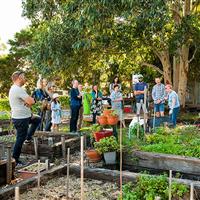 Camdenville Community Garden