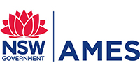 AMES logo
