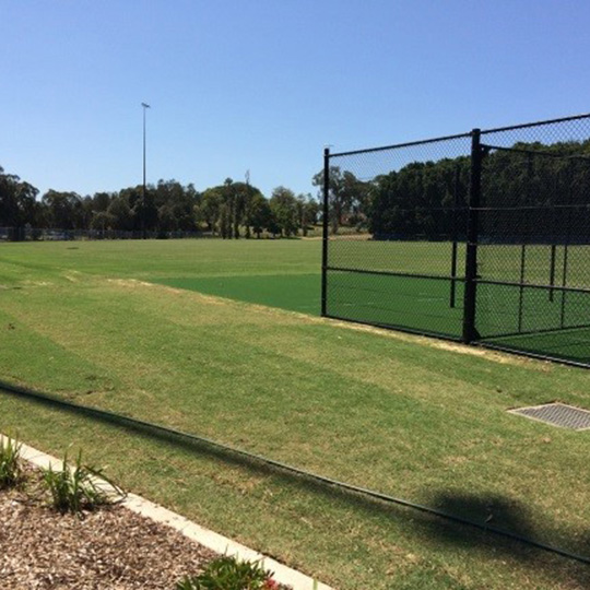 Waterfront Drive Sporting Ground Callan Park