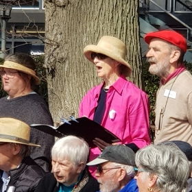 A group of elderly people singing in front of a tree trunk