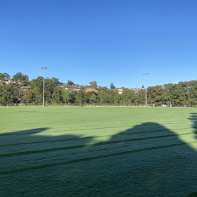 Grassy spots field against a blue sky