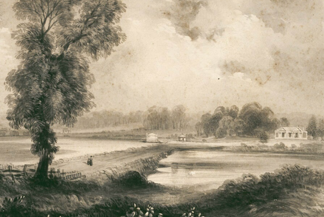 Tempe House, Cooks River
