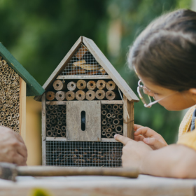 Bee Hotel Workshop