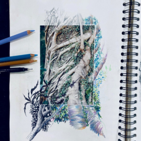 Expanded image art workshop