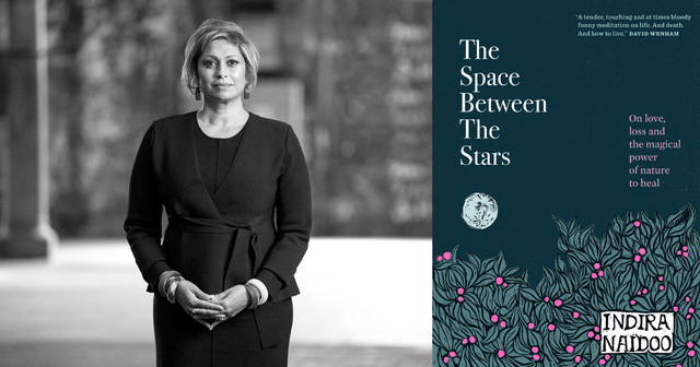 Indira Naidoo The Space Between the Stars