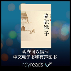 Indyreads