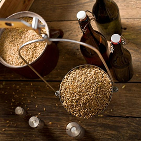 Malt for Home Brewing of Beer