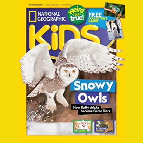 National Geographic Kids