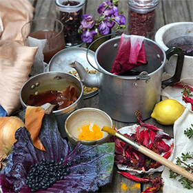 Natural Dyeing Workshop