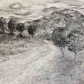 Observational drawing