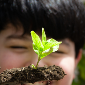 Spring planting