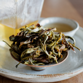 Tea tasting workshop
