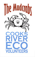 The Mudcrabs logo