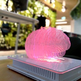 Pink sculpture perspex and fibre pink brain like sculpture on grey light box