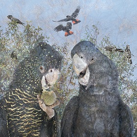 Super imposed photograph of trees in the background and a blue sky with two large black parrots in the front, one has gold feathers across its chest and the other is all black, one holds some sort of seed or nut and has taken a bite of it, there are other black parrots in the trees and two fly above in the sky in the centre with outstretched wings and red feathers on their tails