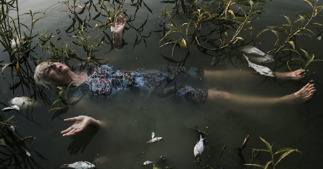 Photo by Bonita Ely, Bonita lies in a shallow pool of muddy looking water floating, surrounded by dead silver coloured fish, there are also small green plants emerging from the water, Bonita\