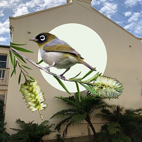 Mural painted on side of house wall shows an Australian small bird perching on a champagne coloured bottle-brush, with moon in the background. Painting by Thomas Jackson