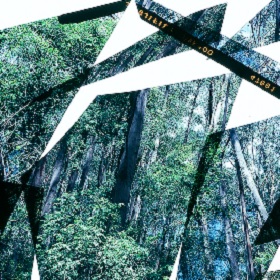Collage overlay of photo of trees, the image has negative numbers in orange/yellow print at the top right of photos, there are some white triangle shapes that has been made on the collage