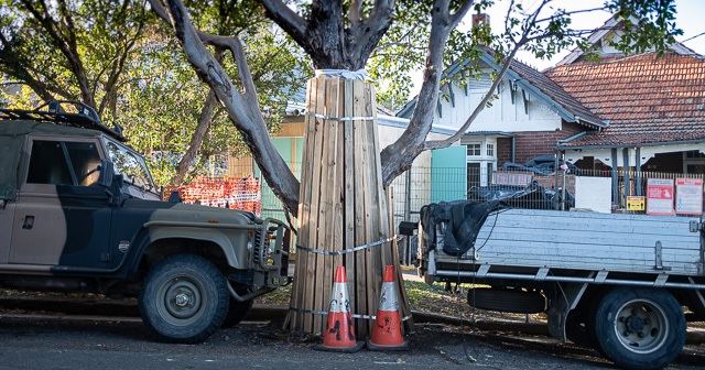 Photo by artist René Vogelzang, Title: Isolating. A tree trunk has been boarded up in wood with metal bracing, two witches hats sit at foot of tree and a utility truck tray backs in on one side and a Jeep the other