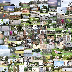 Photo montage of houses and greenery