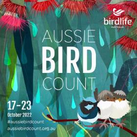 Graphic picture of several birds in trees and words Aussie Bird Count