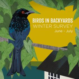 Graphic design of a bird on a branch overlooking a house