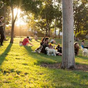 People picnicing in a park in the afternoon